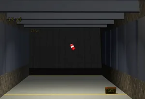Can Toss